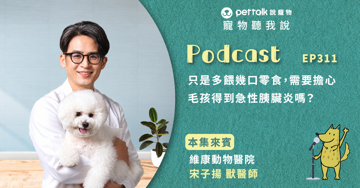 【寵物聽我說】EP311｜只是多餵幾口零食，需要擔心毛孩得到急性胰臟炎嗎？｜專業獸醫—宋子揚