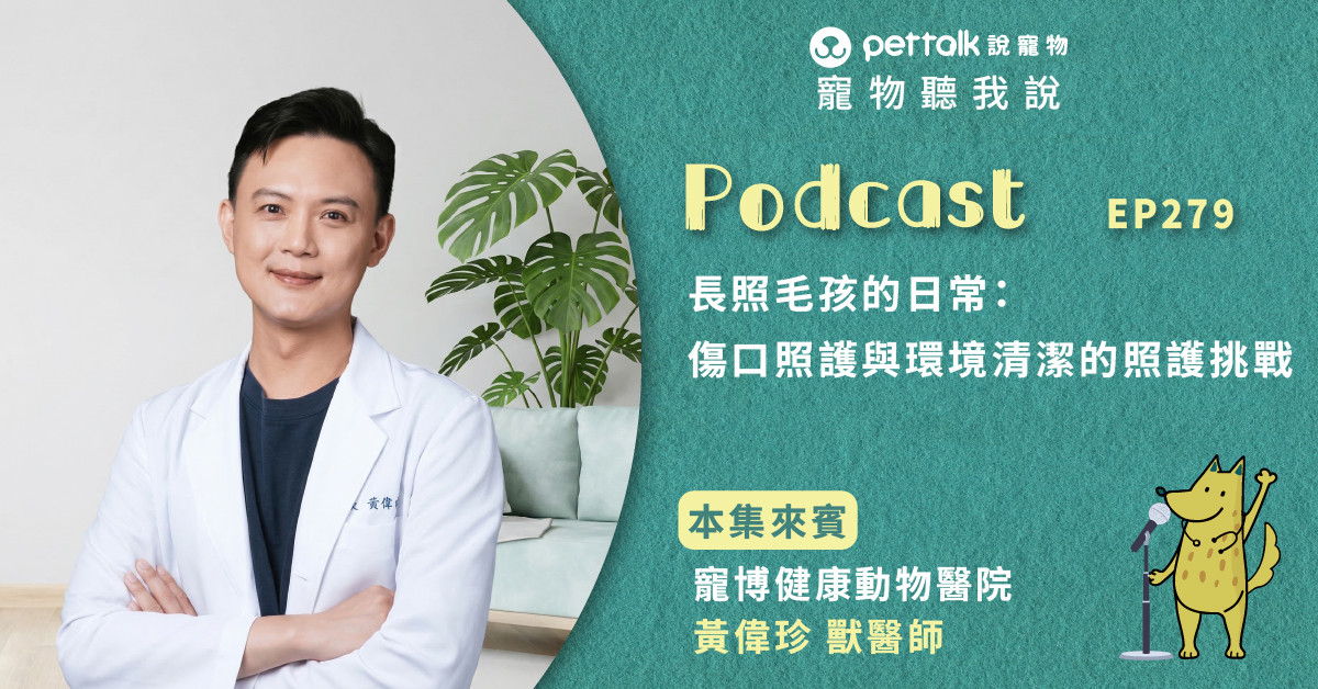 【寵物聽我說】EP279｜長照毛孩的日常：傷口照護與環境清潔的照護挑戰｜專業獸醫—黃偉珍