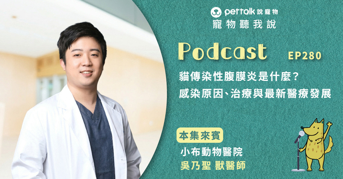 【寵物聽我說】EP280｜貓傳染性腹膜炎是什麼？感染原因、治療與最新醫療發展｜專業獸醫—吳乃聖