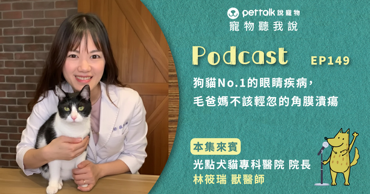 【寵物聽我說】EP149-狗貓No.1的眼睛疾病，毛爸媽不該輕忽的角膜潰瘍｜專業獸醫—林筱瑞