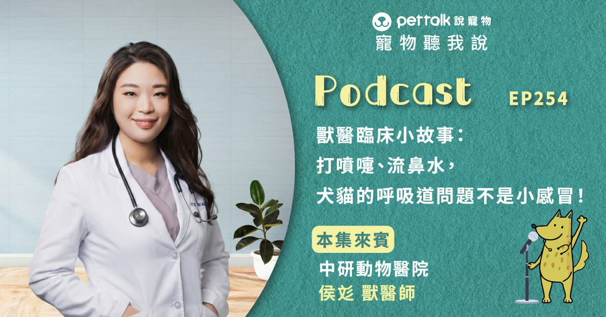 【寵物聽我說】EP254｜獸醫臨床小故事：打噴嚏、流鼻水，犬貓的呼吸道問題不是小感冒！｜專業獸醫—侯彣