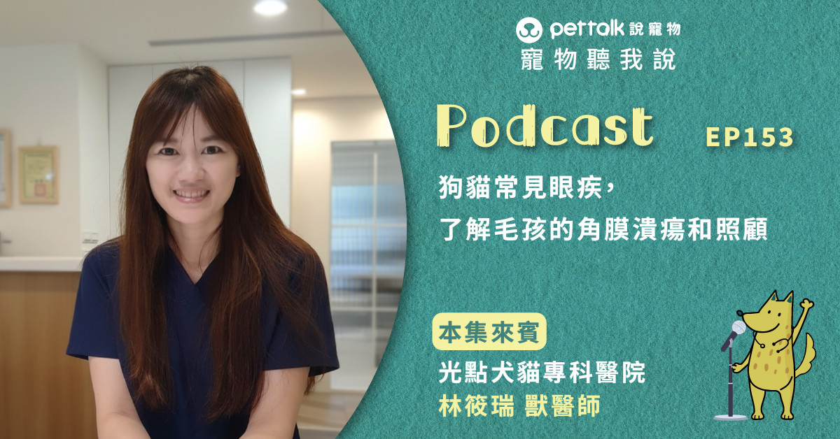【寵物聽我說】EP153-狗貓常見眼疾，了解毛孩的角膜潰瘍和照顧｜專業獸醫—林筱瑞