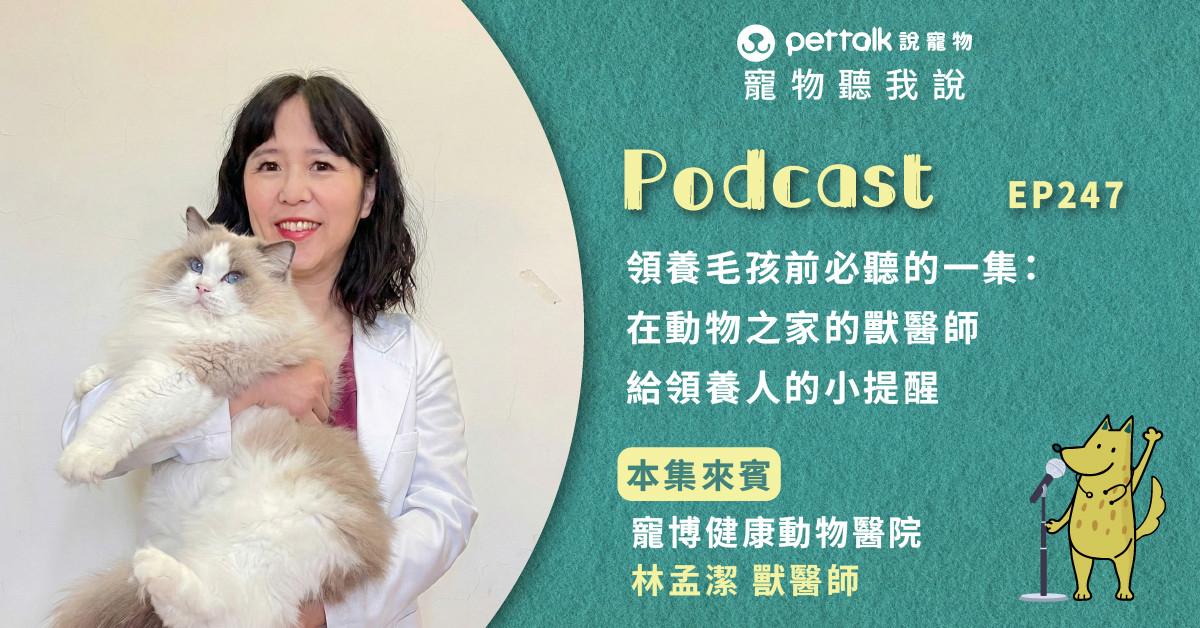 【寵物聽我說】EP247｜領養毛孩前必聽的一集：在動物之家的獸醫師給領養人的小提醒｜專業獸醫—林孟潔
