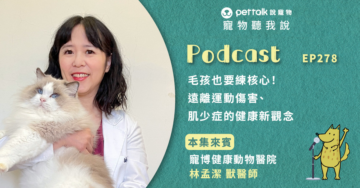 【寵物聽我說】EP278｜毛爸媽必聽健檢攻略！一次搞懂血檢數值與影像檢查｜專業獸醫—林孟潔
