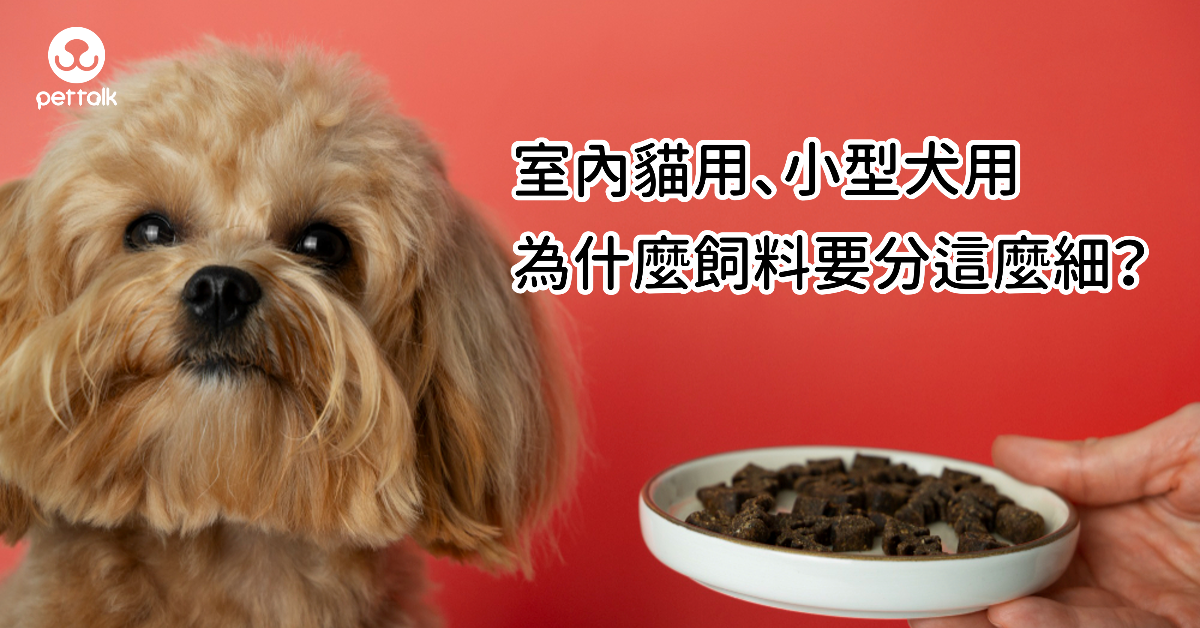 室內貓用、小型犬用，為什麼飼料要分這麼細？｜專業獸醫—宋子揚