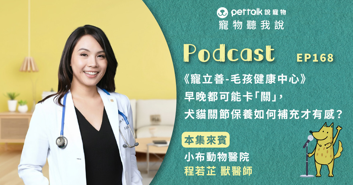 【寵物聽我說】EP168-《寵立善-毛孩健康中心》早晚都可能卡「關」，犬貓關節保養如何補充才有感？｜專業獸醫—程若芷