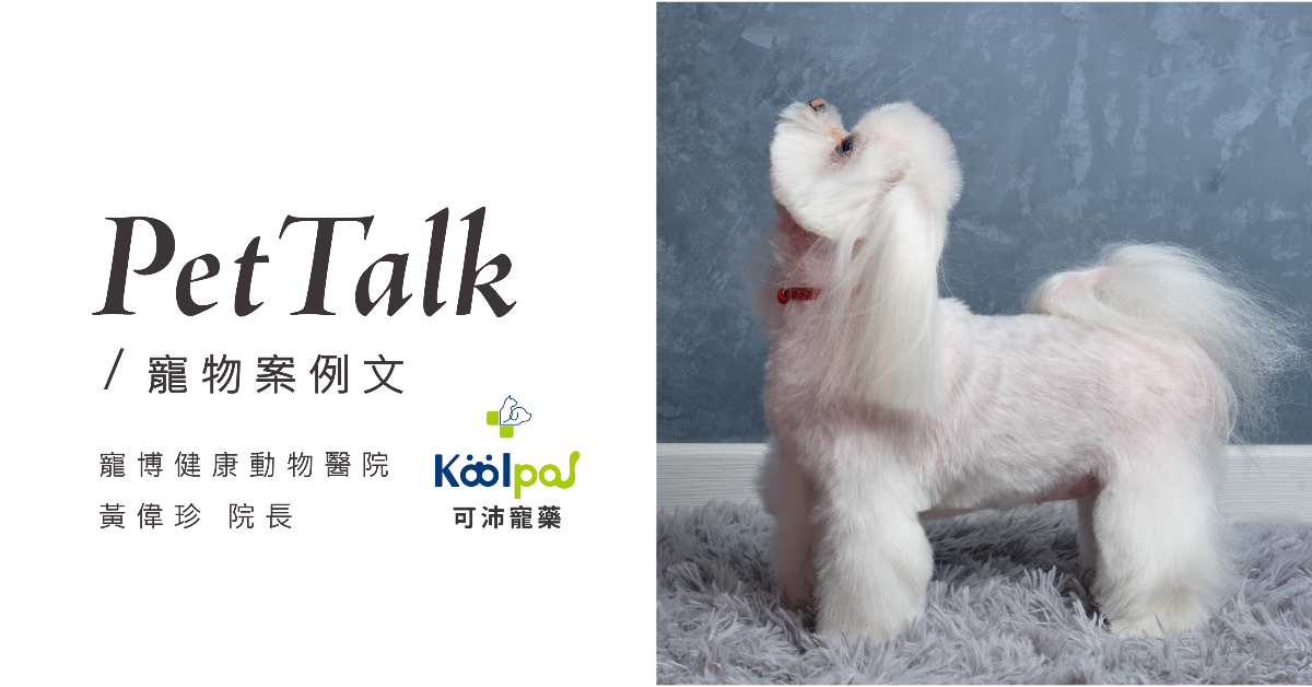 【寵物案例分享】「牠明明還這麼年輕，關節怎麼會有問題？」中小型犬貓最常被忽略的膝關節異位危機｜專業獸醫—黃偉珍