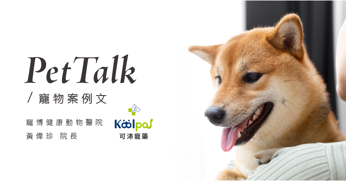 【寵物案例分享】當毛孩慢慢變老…那些你忽略的犬貓認知障礙症候群徵兆｜專業獸醫—黃偉珍