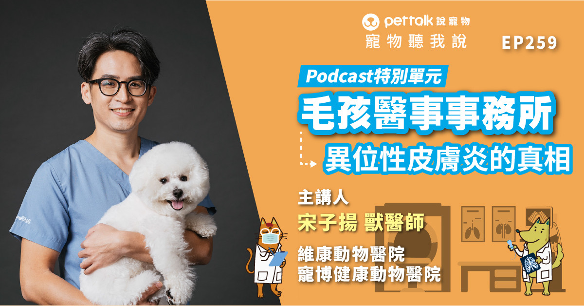 【寵物聽我說】EP259｜《毛孩醫事事務所》一變天就開始抓不停！犬貓異位性皮膚炎的真相｜專業獸醫—宋子揚