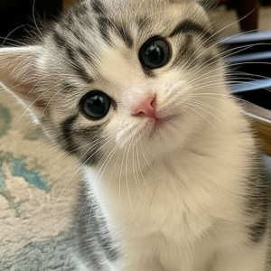 小鬼