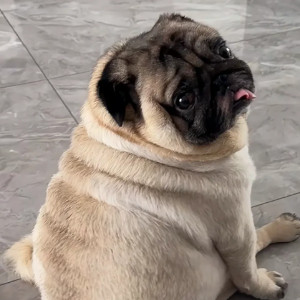 小巴